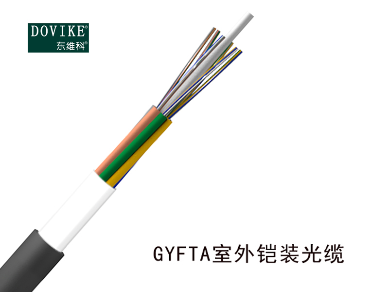 24芯GYFTA室外铠装光缆、24芯光缆价格厂家--江苏东维通信科技有限公司