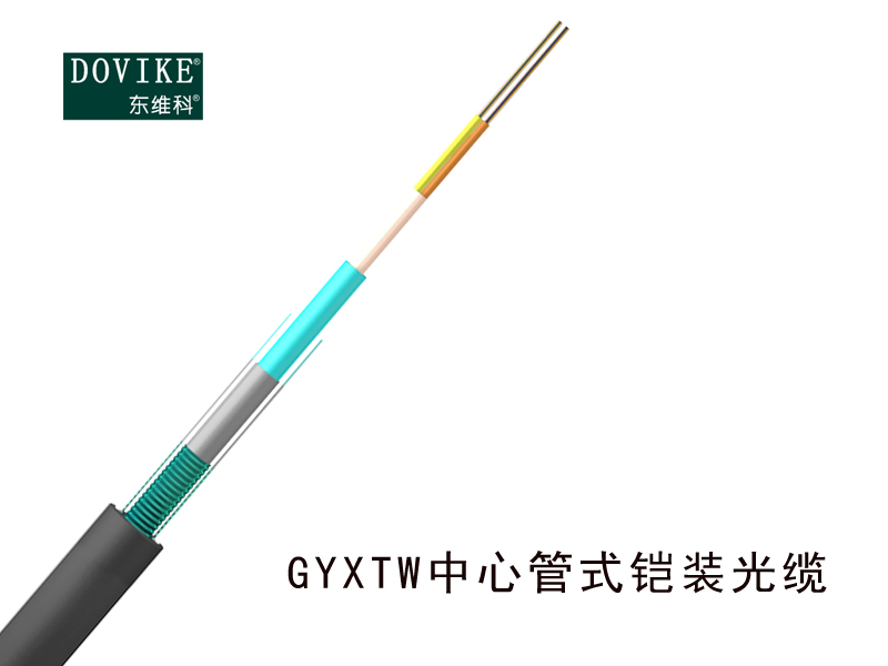 GYXTW铠装光缆 12芯GYXTW铠装光缆厂家--江苏东维通信科技有限公司