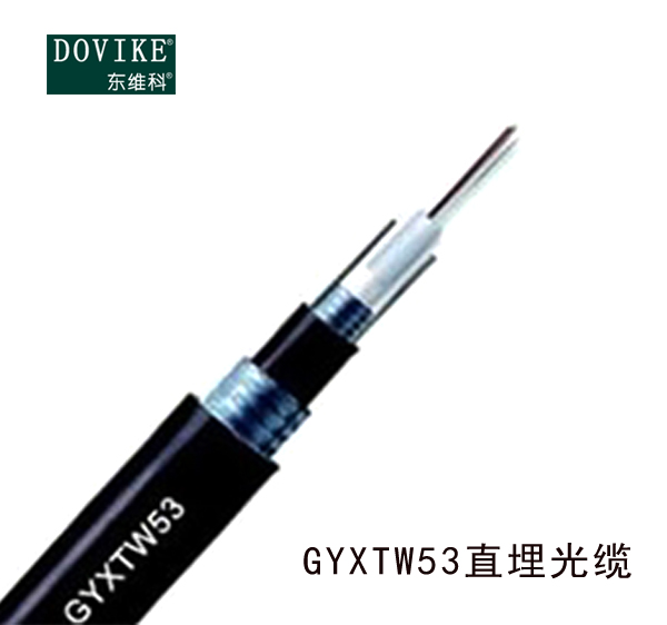 GYXTW53室外铠装直埋光缆，12芯GYXTW53埋地光缆厂家--江苏东维通信科技有限公司