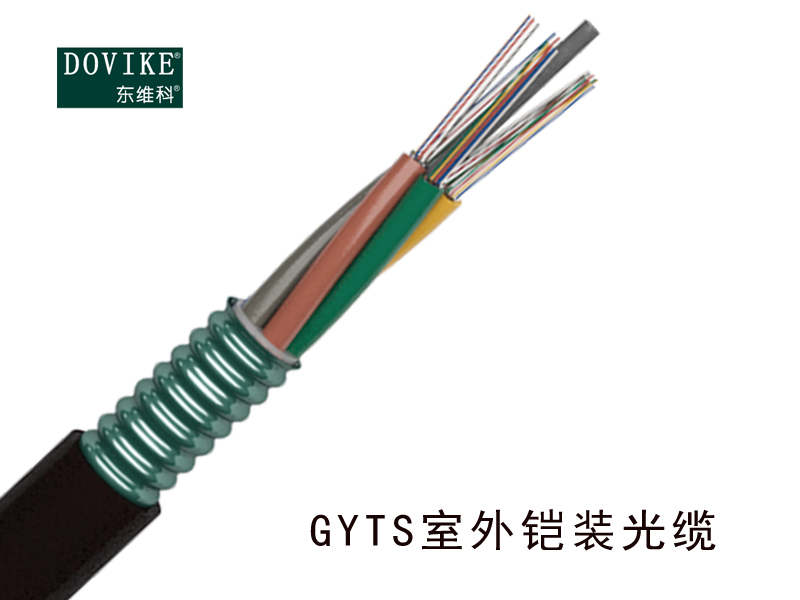 GYTS室外铠装光缆，24芯GYTS铠装光缆--江苏东维通信科技有限公司