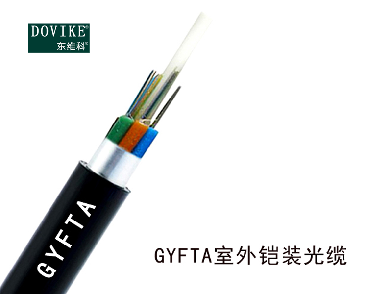 GYFTA铠装光缆非金属加强芯 24芯GYFTA光缆--江苏东维通信科技有限公司